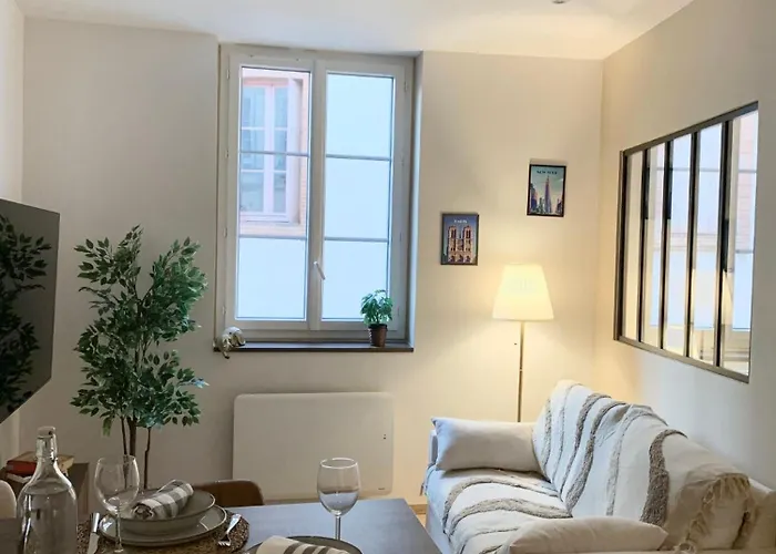 Appartement Puits-Clos - Quartier Capitole